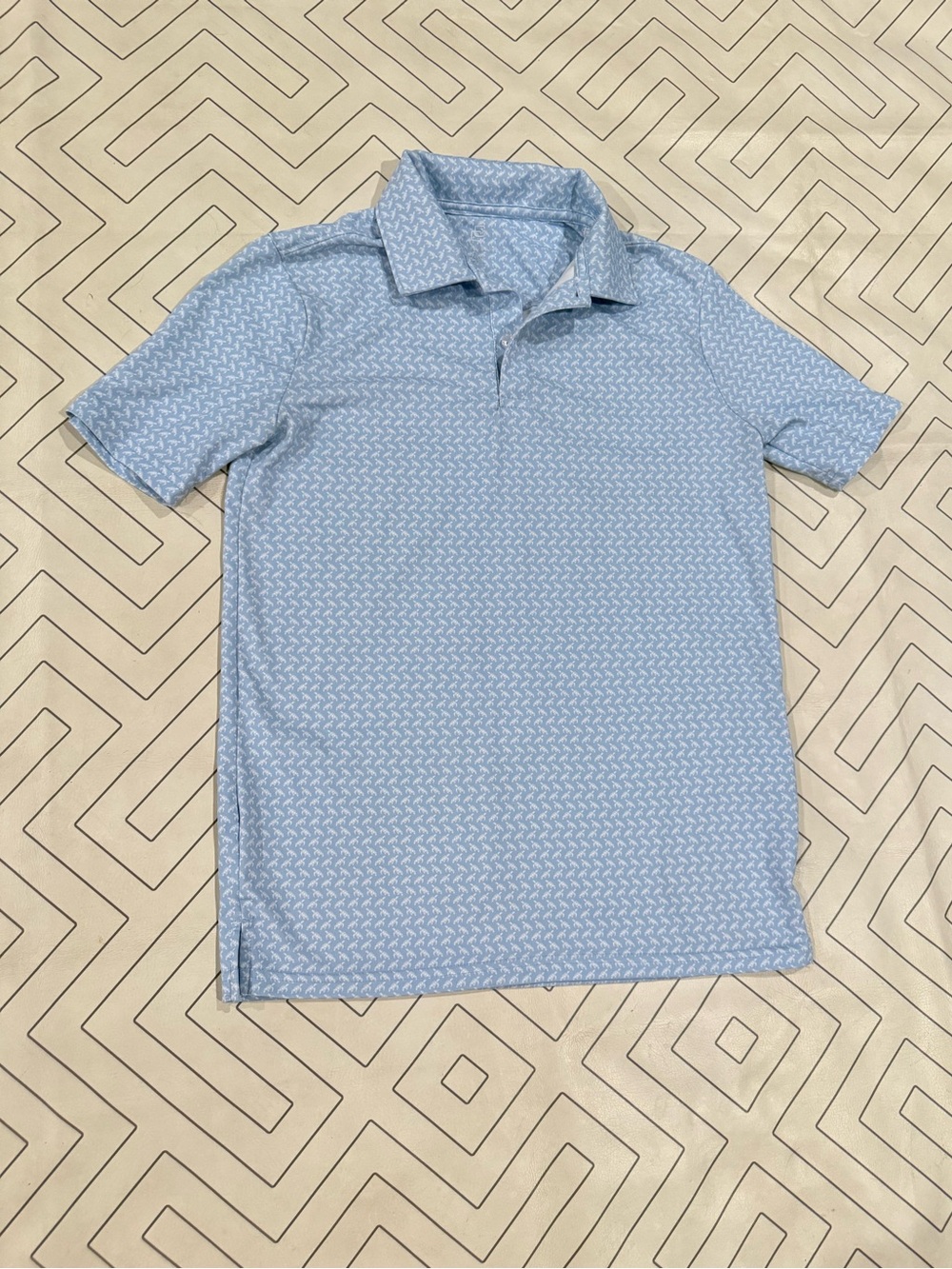 Class Club Light Blue Turtle Polo